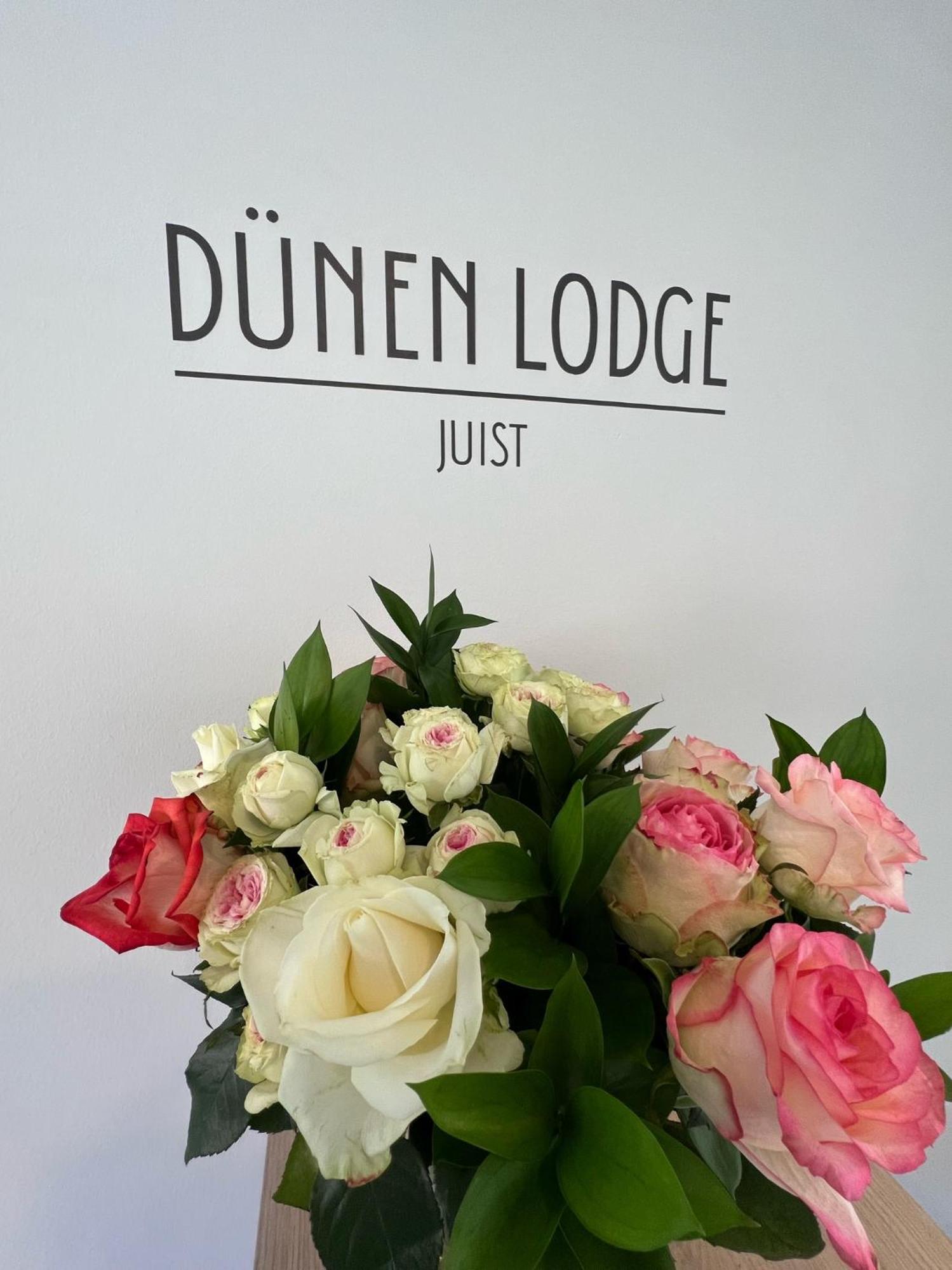 Duenen Lodge 3 于斯德 外观 照片
